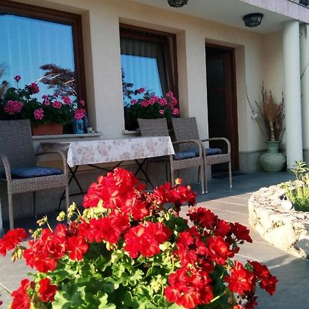Dolenjska Vila Zuzemberk Εξωτερικό φωτογραφία