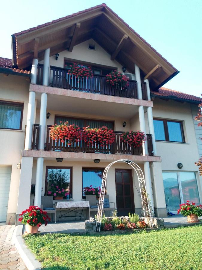 Dolenjska Vila Zuzemberk Εξωτερικό φωτογραφία