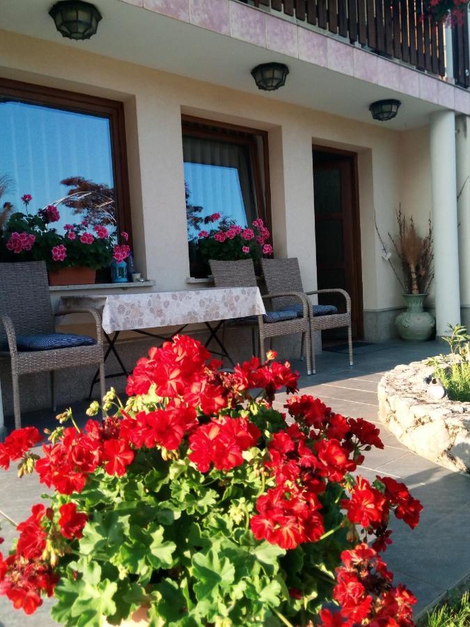 Dolenjska Vila Zuzemberk Εξωτερικό φωτογραφία
